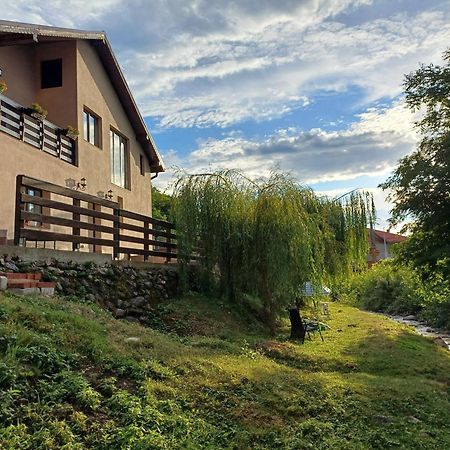 Casa Radu Lejlighed Novaci-Străini Eksteriør billede